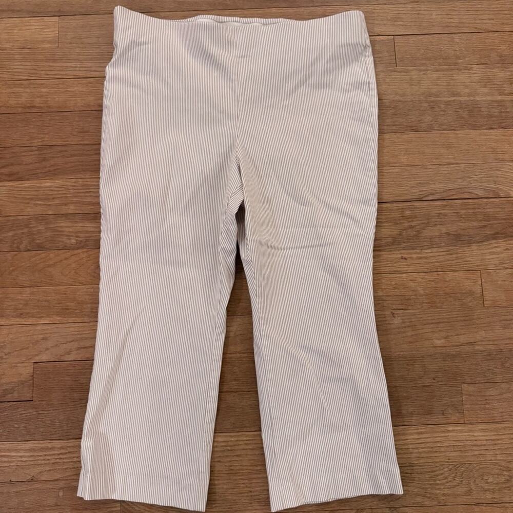Counterparts Women's Striped Straight Leg Cropped Pull-On Pants - Large
 b16
